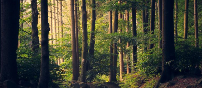 Zahnarztpraxis Jahn-Rudolph